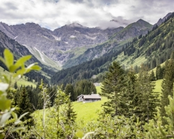 Bodenvorsaess-in-Au-mit-Blick-auf-Zitterklapfen-c-Emanuel-Sutterluety-Au-Schoppernau-Tourismus